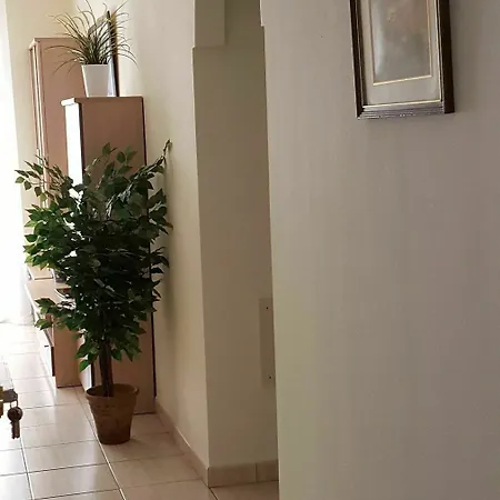 Toronjil Arona (Tenerife)